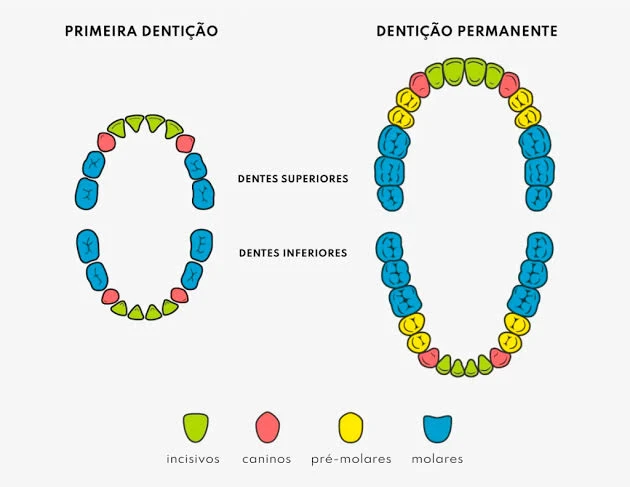 Imagem 6