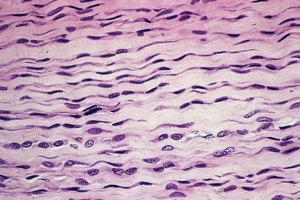 Imagem 9