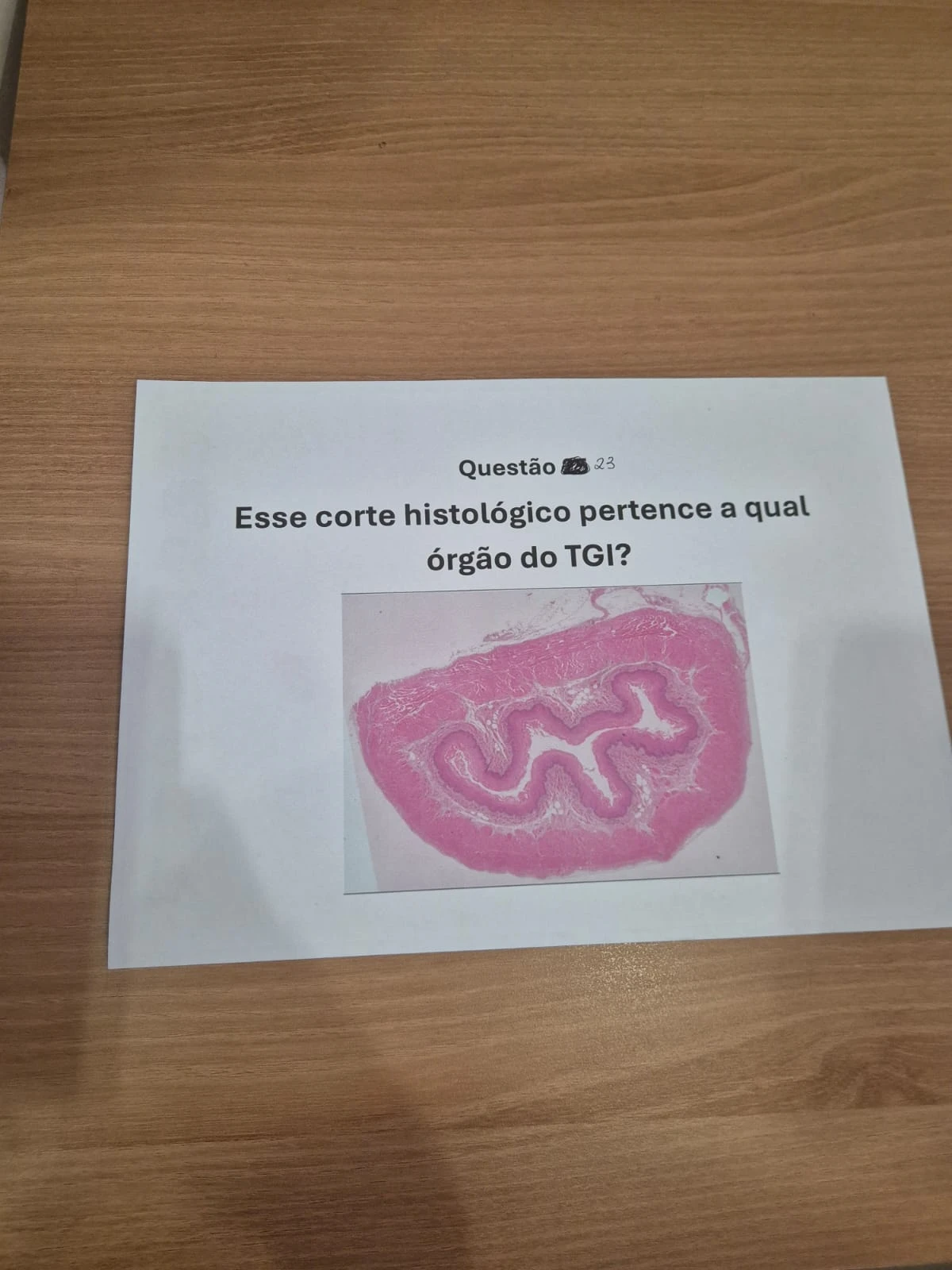 Imagem 23