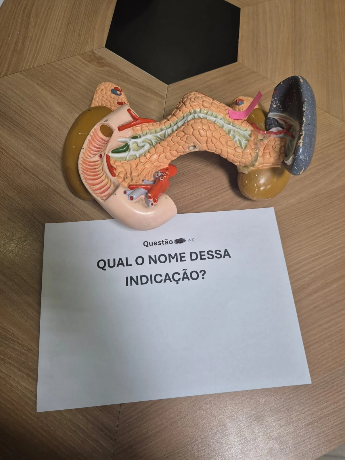 Imagem 14