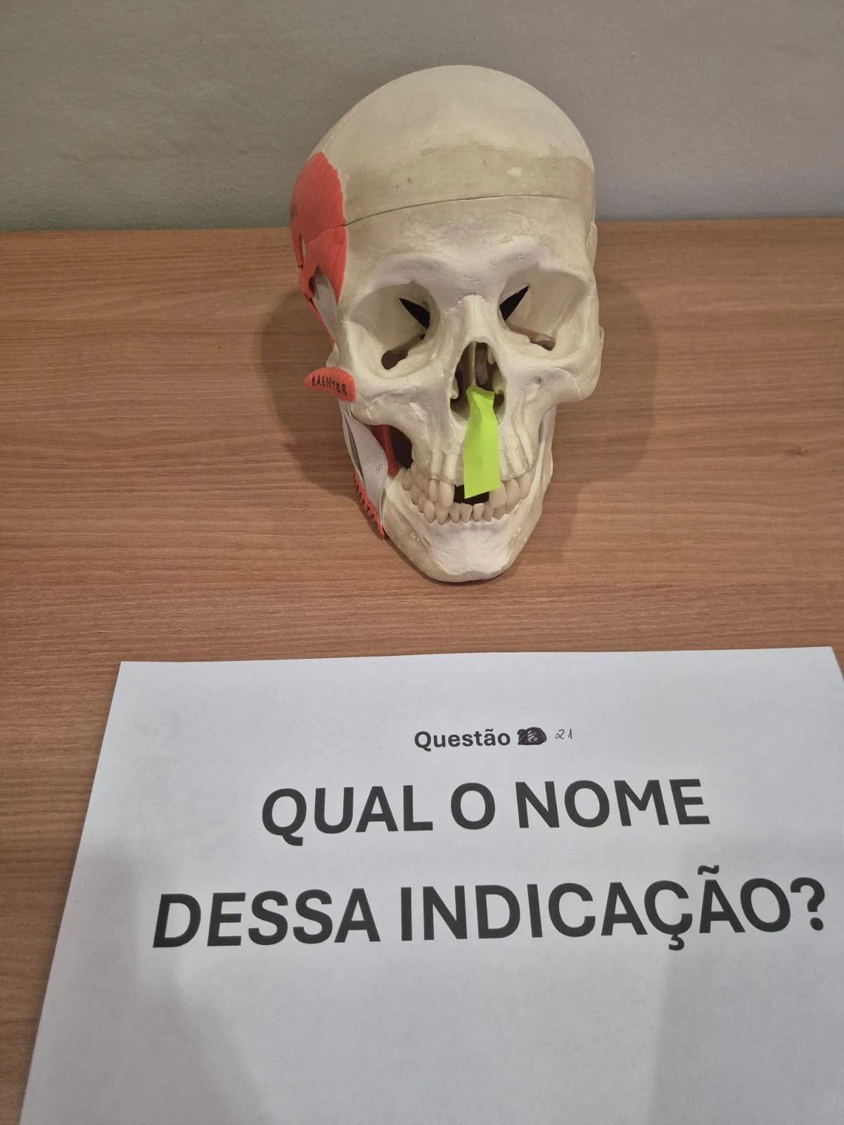 Imagem 21