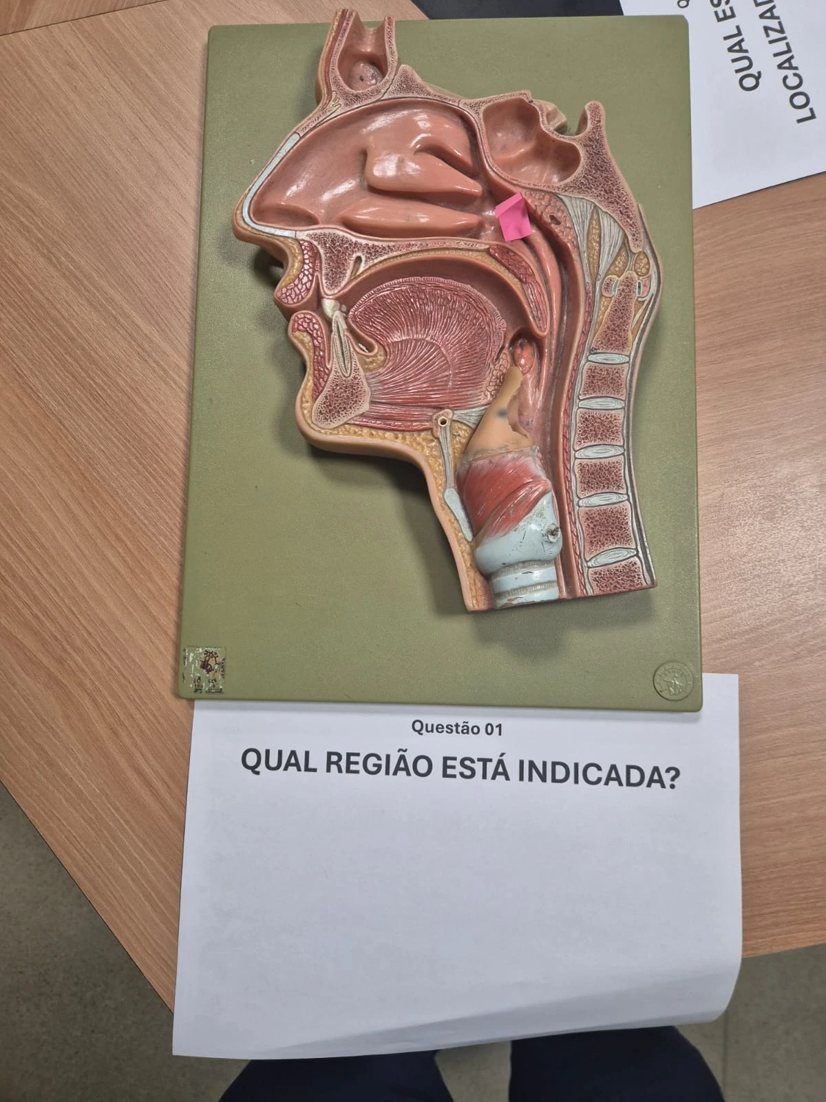 q1