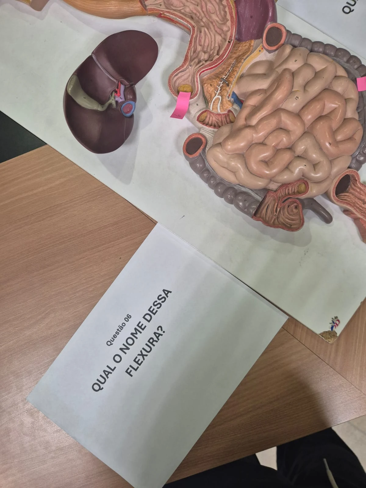 q6