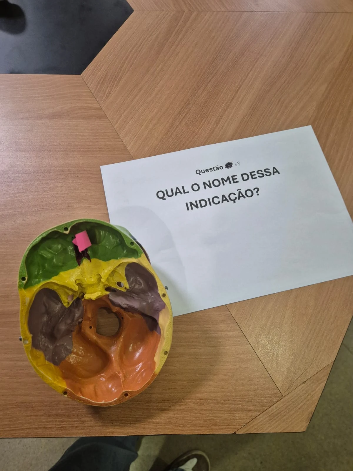 Imagem 19