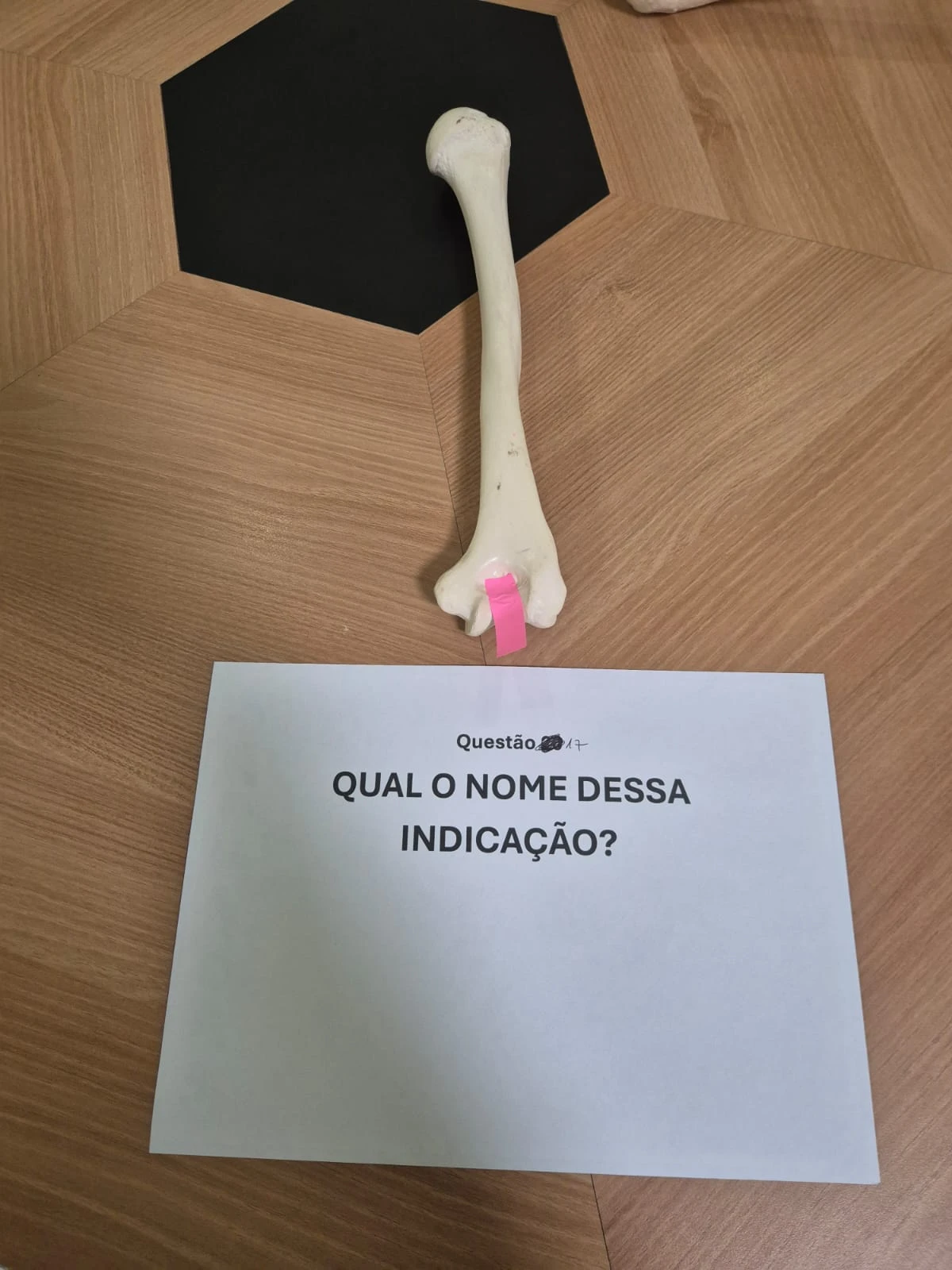 Imagem 17