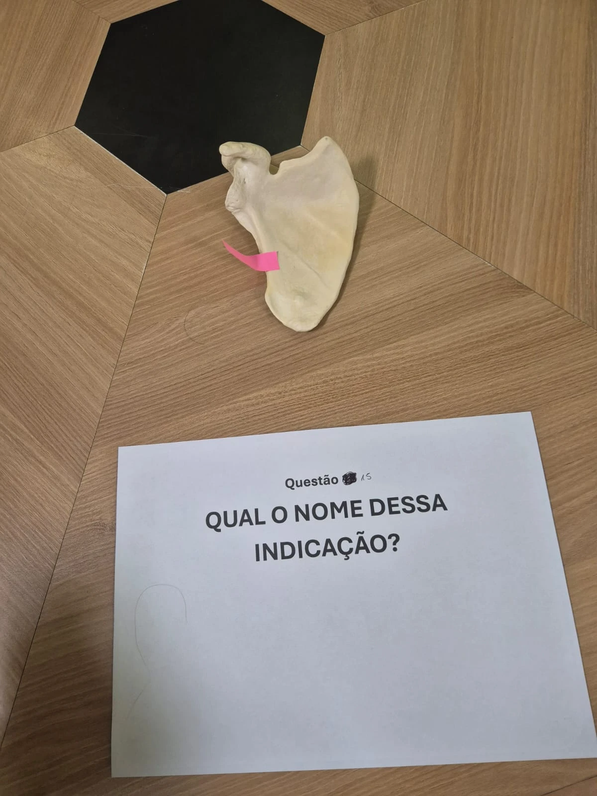 Imagem 15