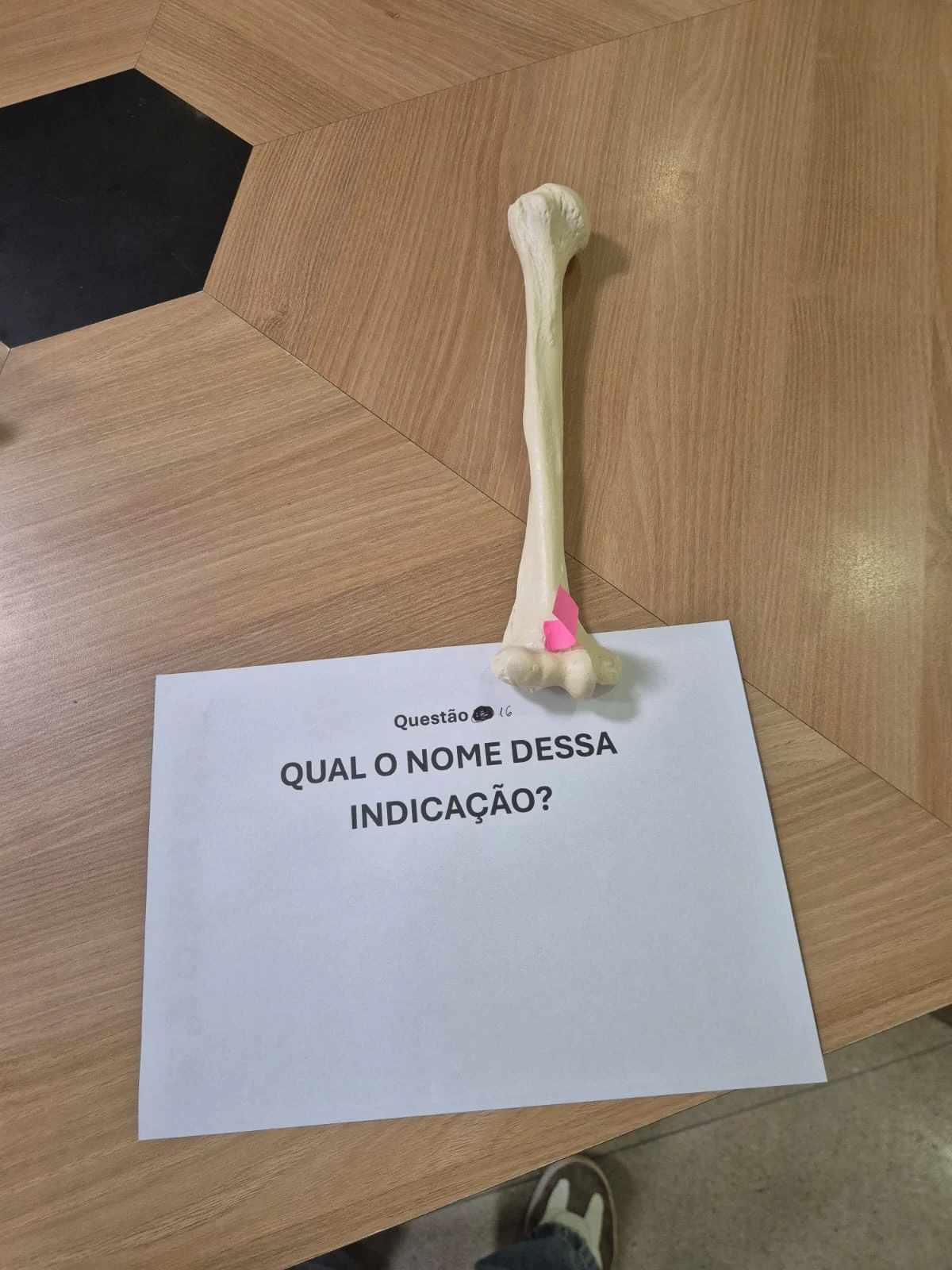 Imagem 16